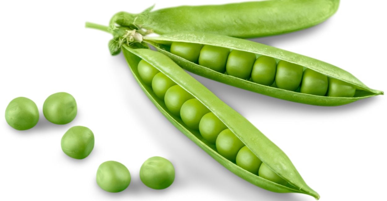 Dream Of Peas – Are You Overwhelmed With Your Workload?