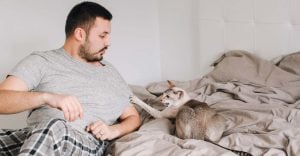 Dream of Cat Attacking Me – 40 Types & Their Interpretations