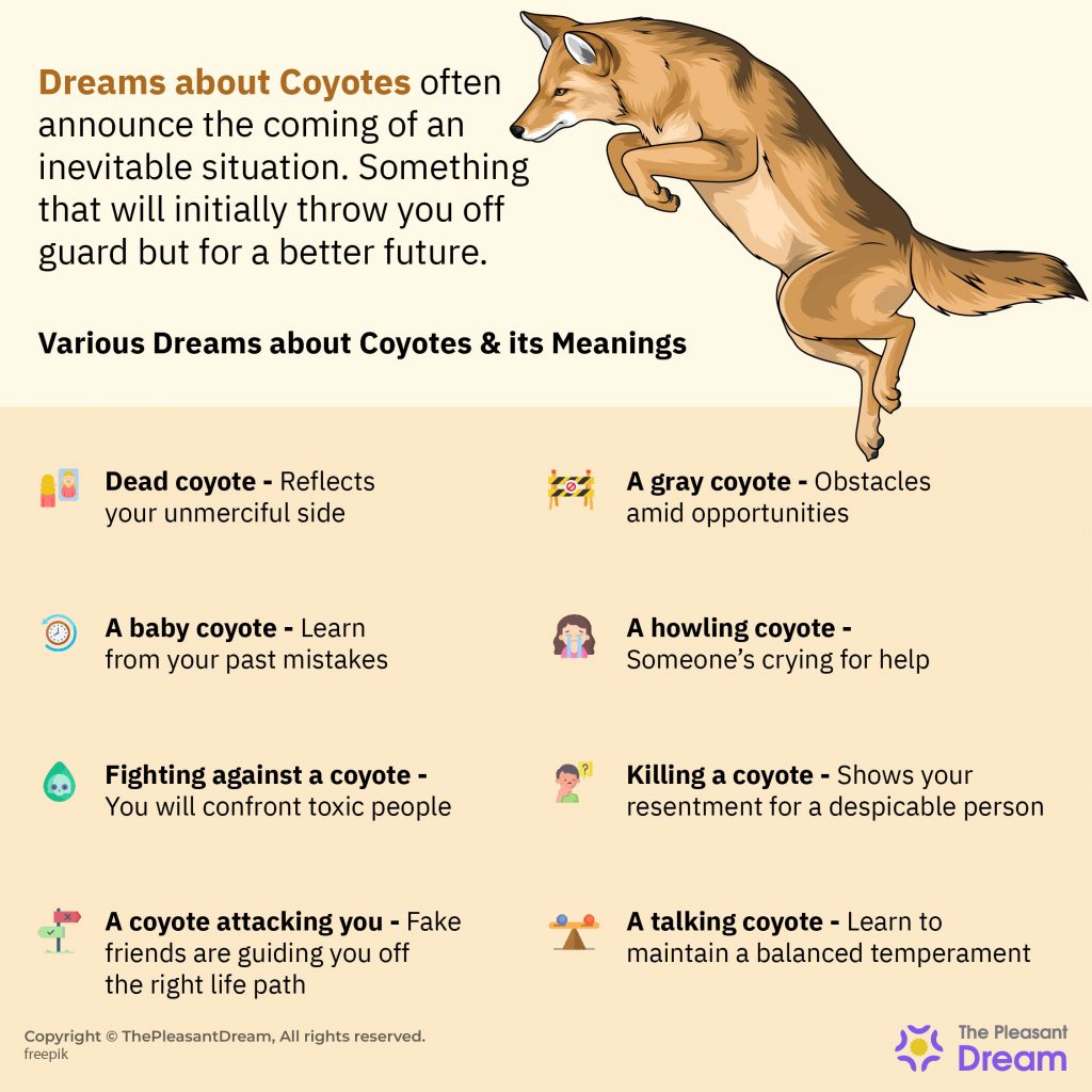 Dreams Of Coyotes - 35 Scenarios And Their Dream Interpretations