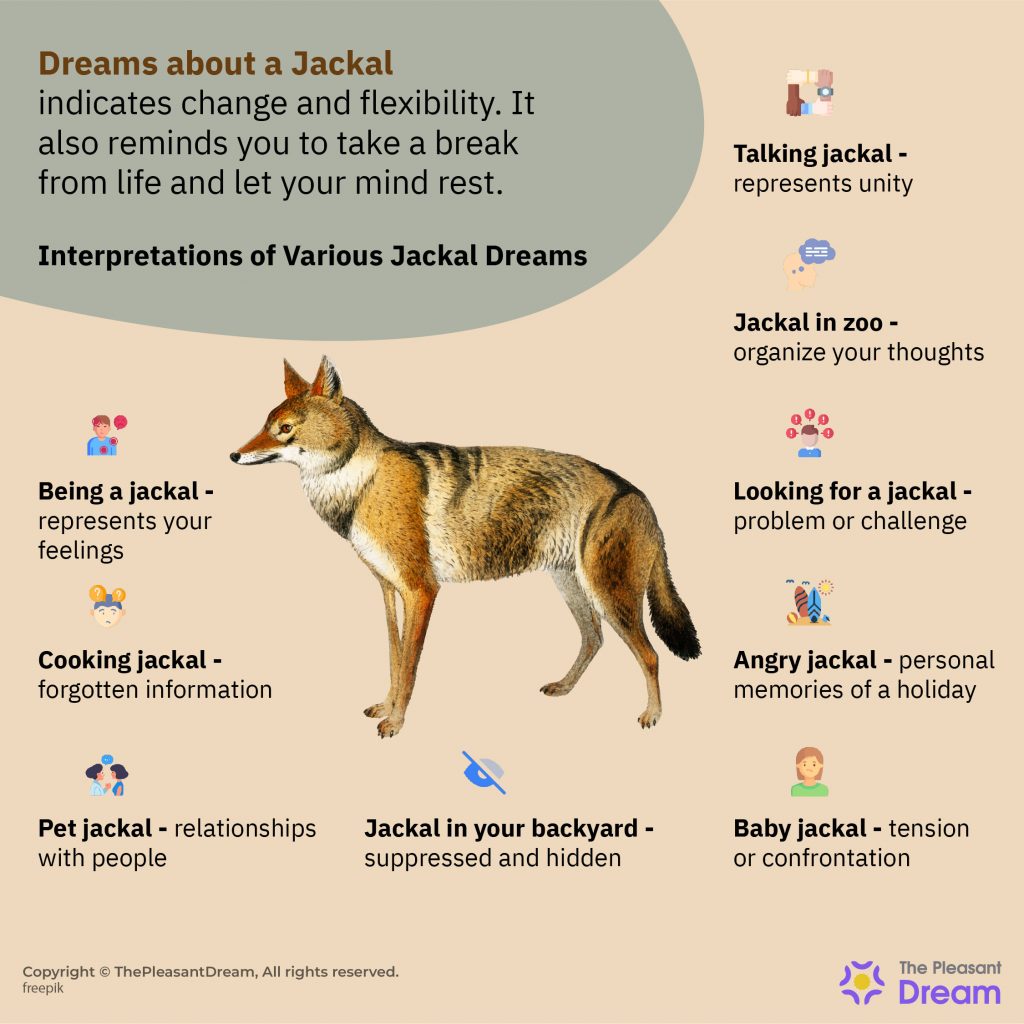 Jackal Dream Meaning - 41 Plots & Scenarios