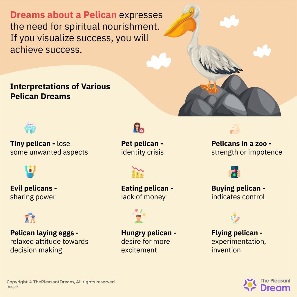 Pelican Dream Meaning - Are Good Times Finally Setting In Life?