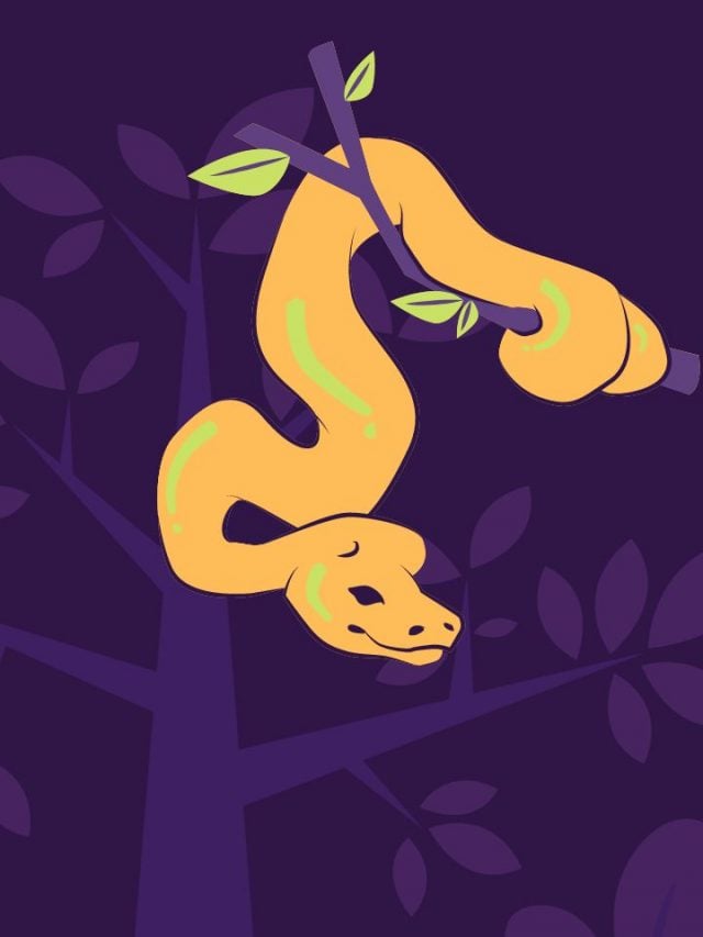 What Does Dreaming of a Yellow Snake Means