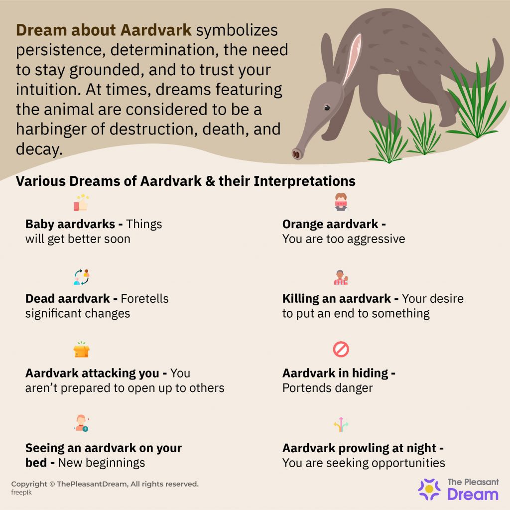 Aardvark Dream Meaning - 37 Types And Their Meanings