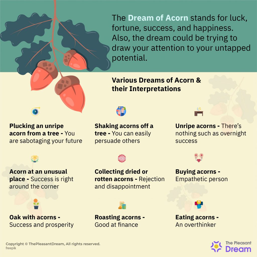 Acorn Dream Meaning - 59 Dream Types With Meanings