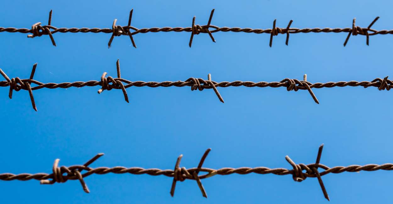 Barbed Wire Dream Meaning 36 Types & Plots