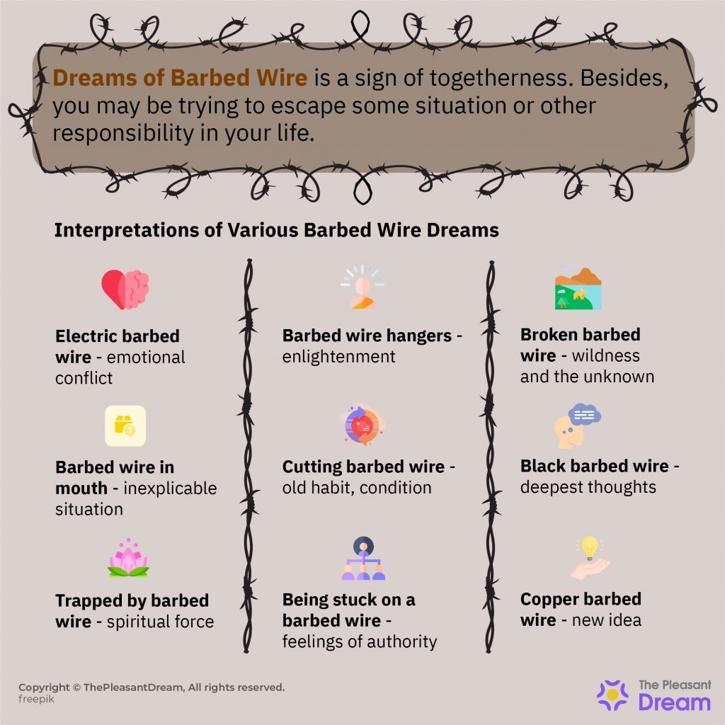 Barbed Wire Dream Meaning - 36 Types & Their Interpretations