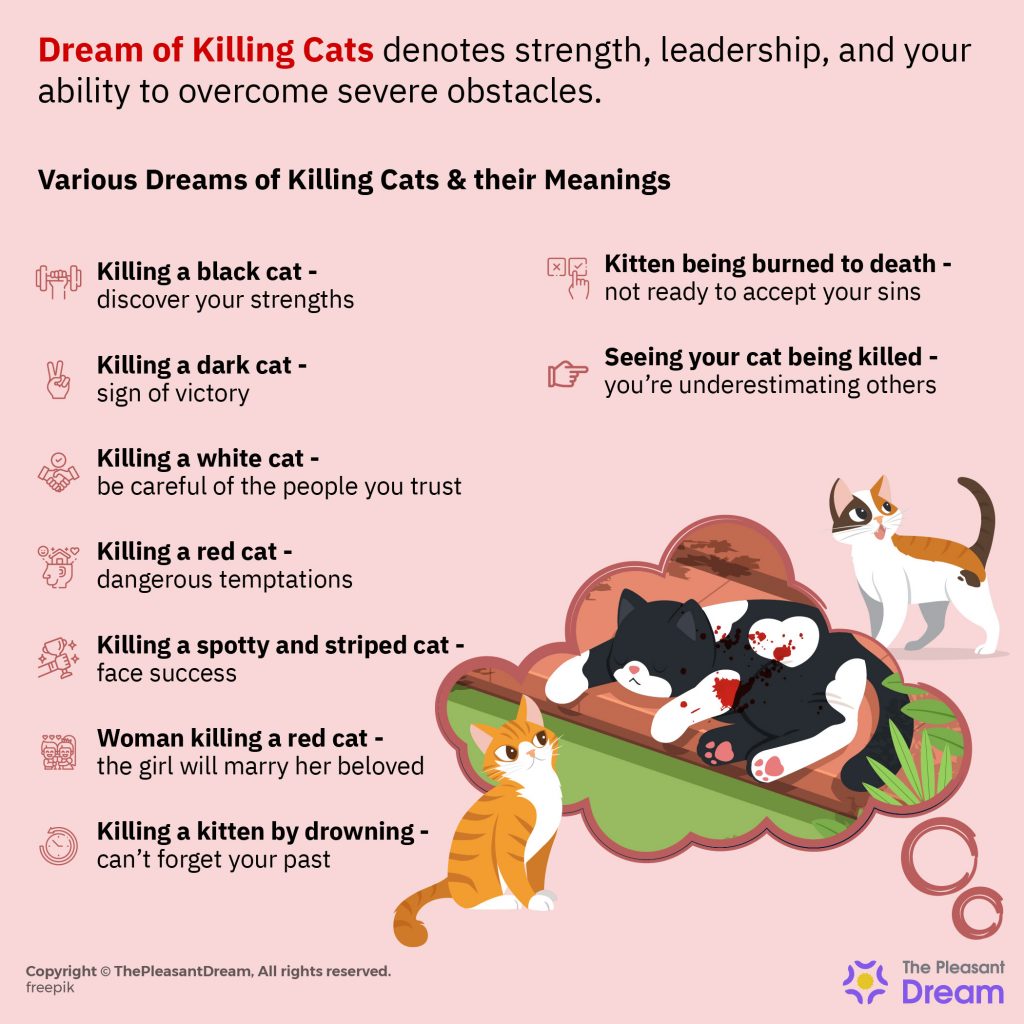Dream about Killing Cats – Experiencing a Sense of Greed and Pursuing Materialistic Gains