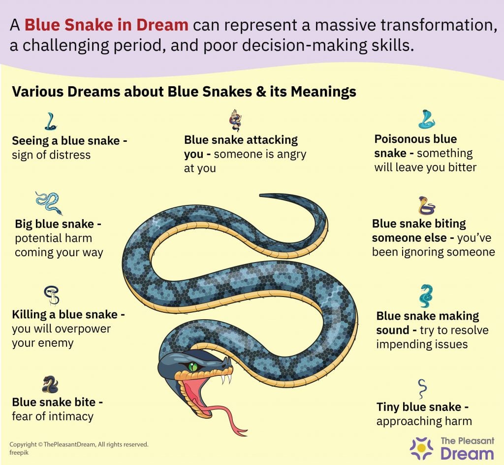 Dream of A Blue Snake – 35 Types & Their Interpretations