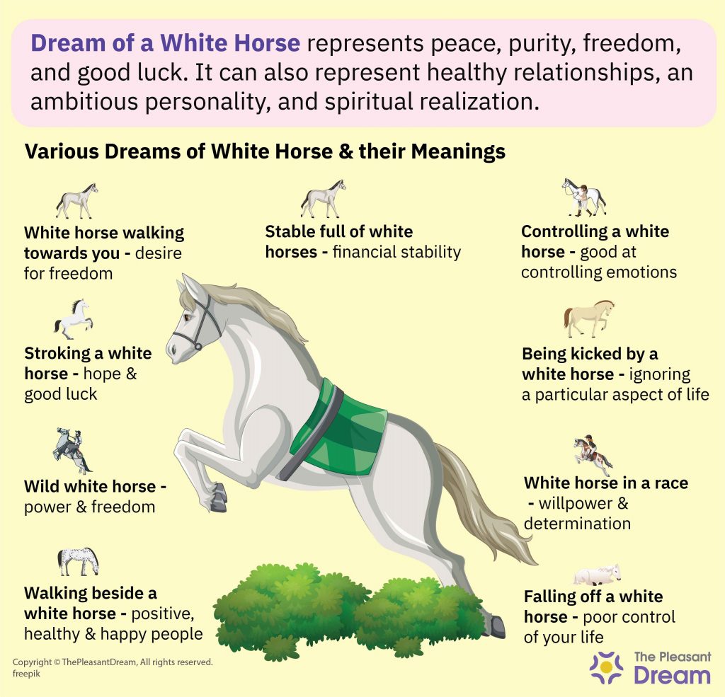 Dream of A White Horse Meaning – Various Plots & Interpretations