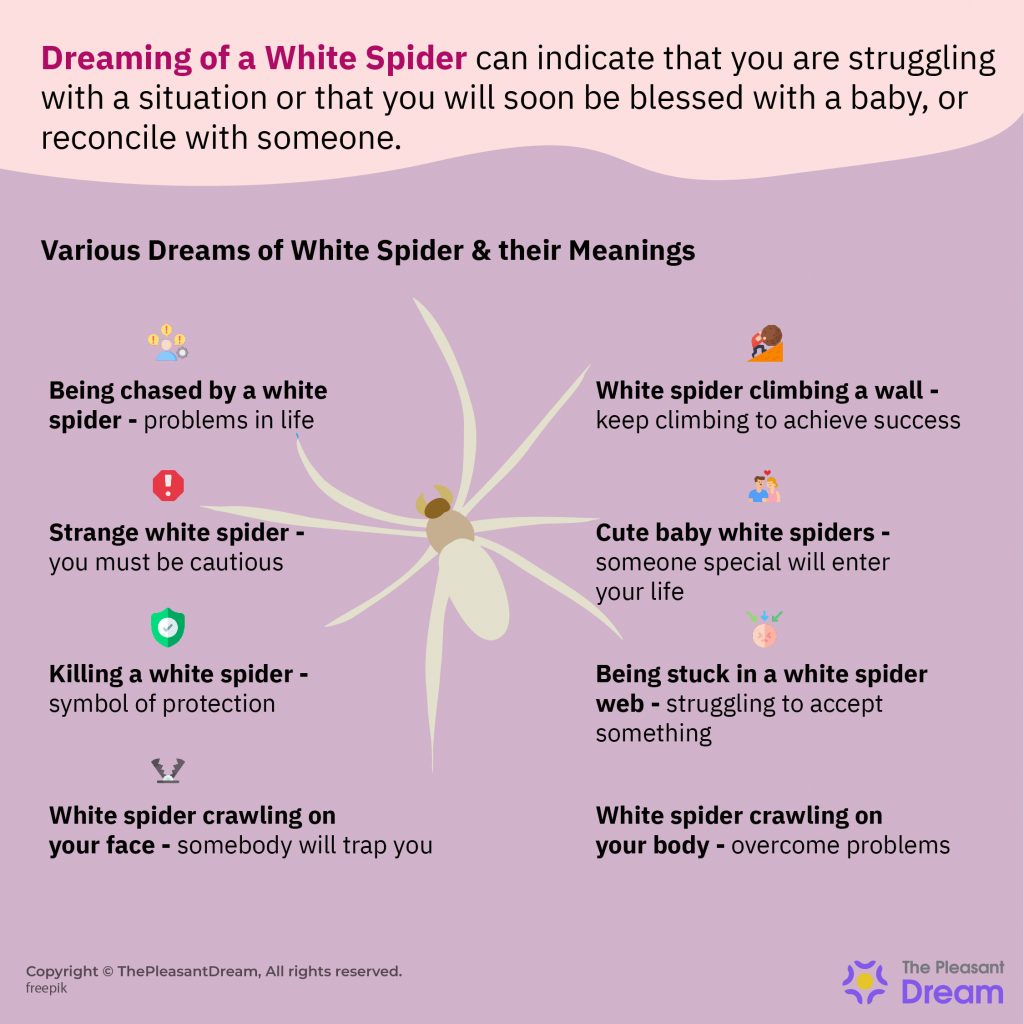 Dream of A White Spider – Peace Will Enter Your Life