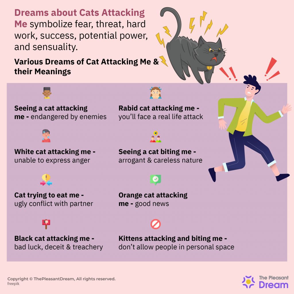 Dream of Cat Attacking Me – Various Types & Their Interpretations