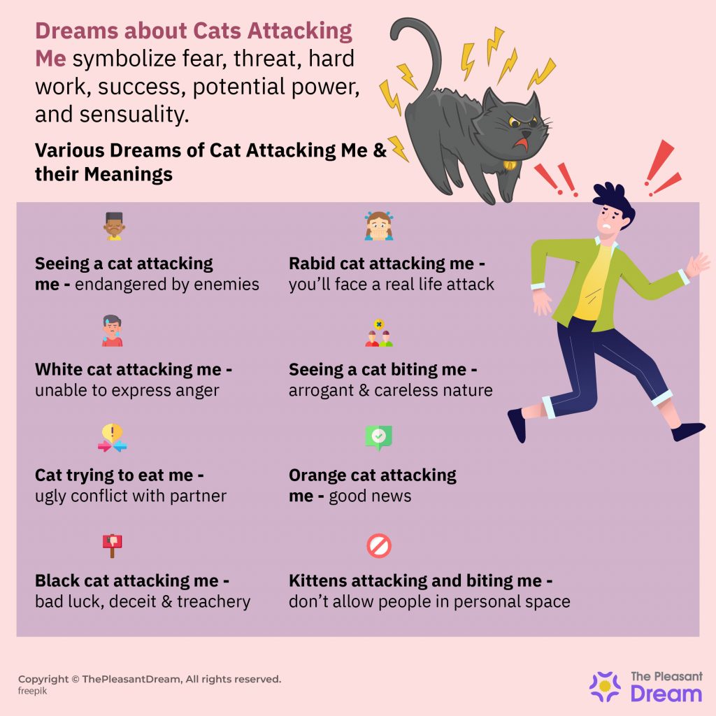 Dream Of Cat Attacking Me – 40 Types Their Interpretations 1024x1024 
