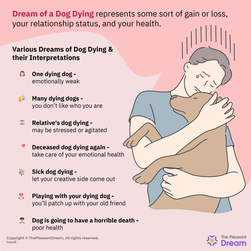 Dream of Dog Dying – Various Types & their Interpretations