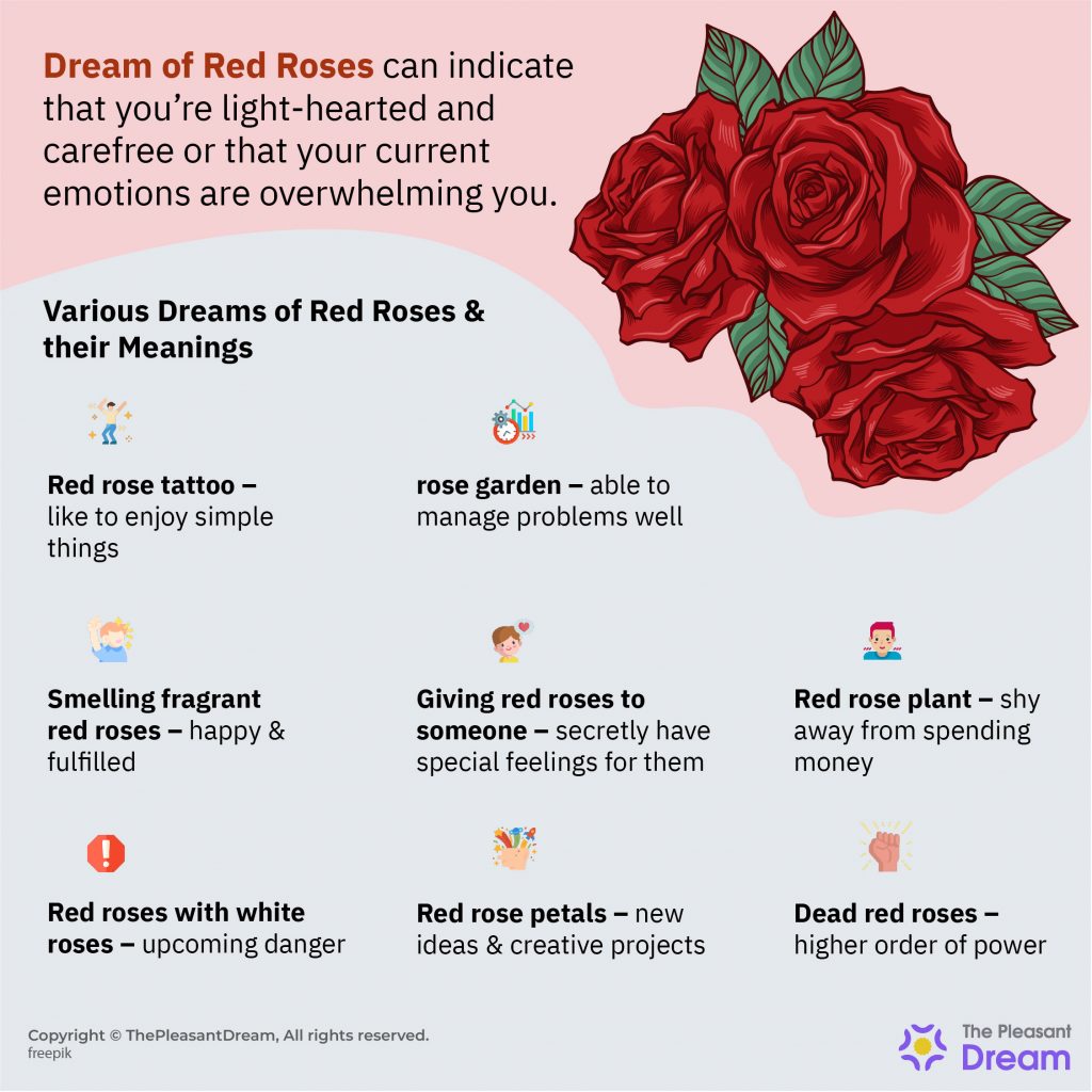 Dream of Red Roses – Various Types & Their Meanings