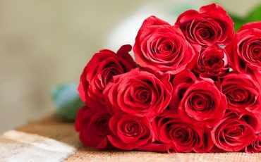 Dream of Red Roses – Does This Indicate That Someone Will Propose Marriage to You?