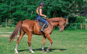 Dream of Riding A Horse – Does It Indicate a Need to Prioritize Personal Development?