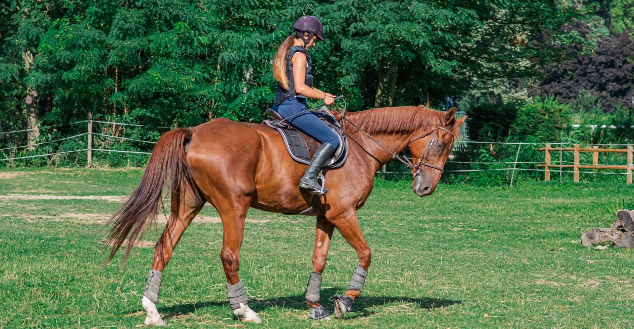 Dream of Riding A Horse – Does It Indicate a Need to Prioritize Personal Development?