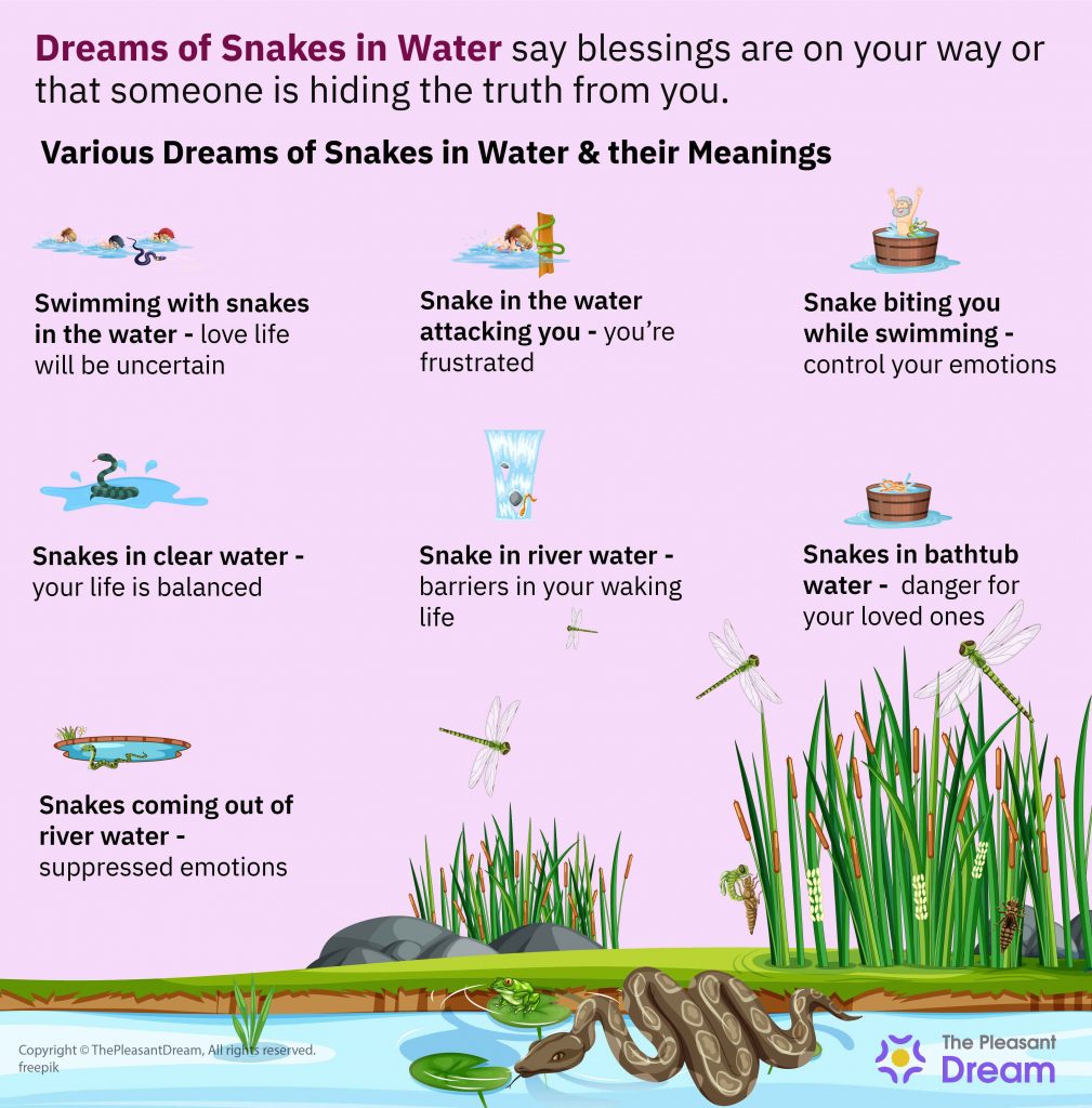 Dream of Snakes in Water – 25 Types & Their Interpretations