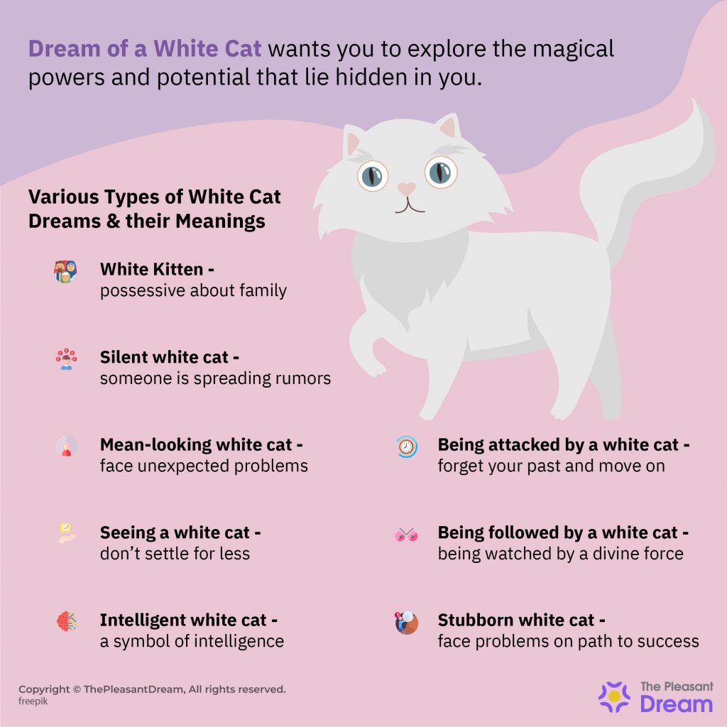 Dream of White Cat – 40 Types & their Interpretations