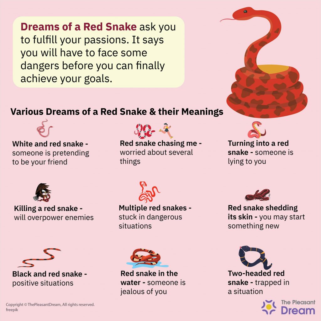 Dream of a Red Snake – Various Types & their Interpretations