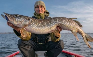 Dreaming about Big Fish – You Will Receive Something Unexpectedly Huge