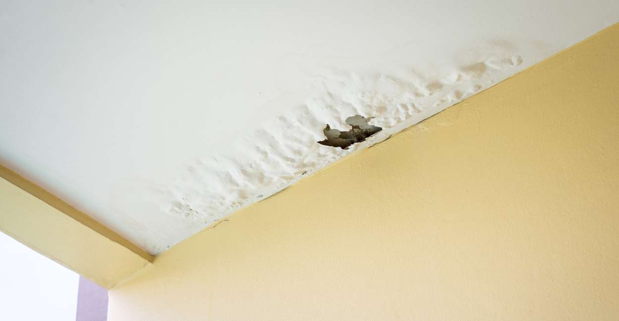 Dreams about Leaking Ceilings – An Indication Towards a Forthcoming Danger