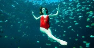 Dreams about Swimming with Fish – 25 Types & Their Meanings