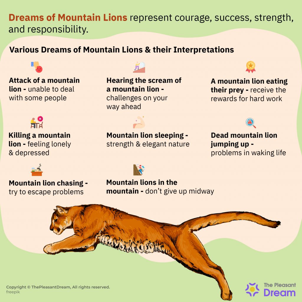 Mountain Lion in Dream – Tone Down Your Aggressive Side