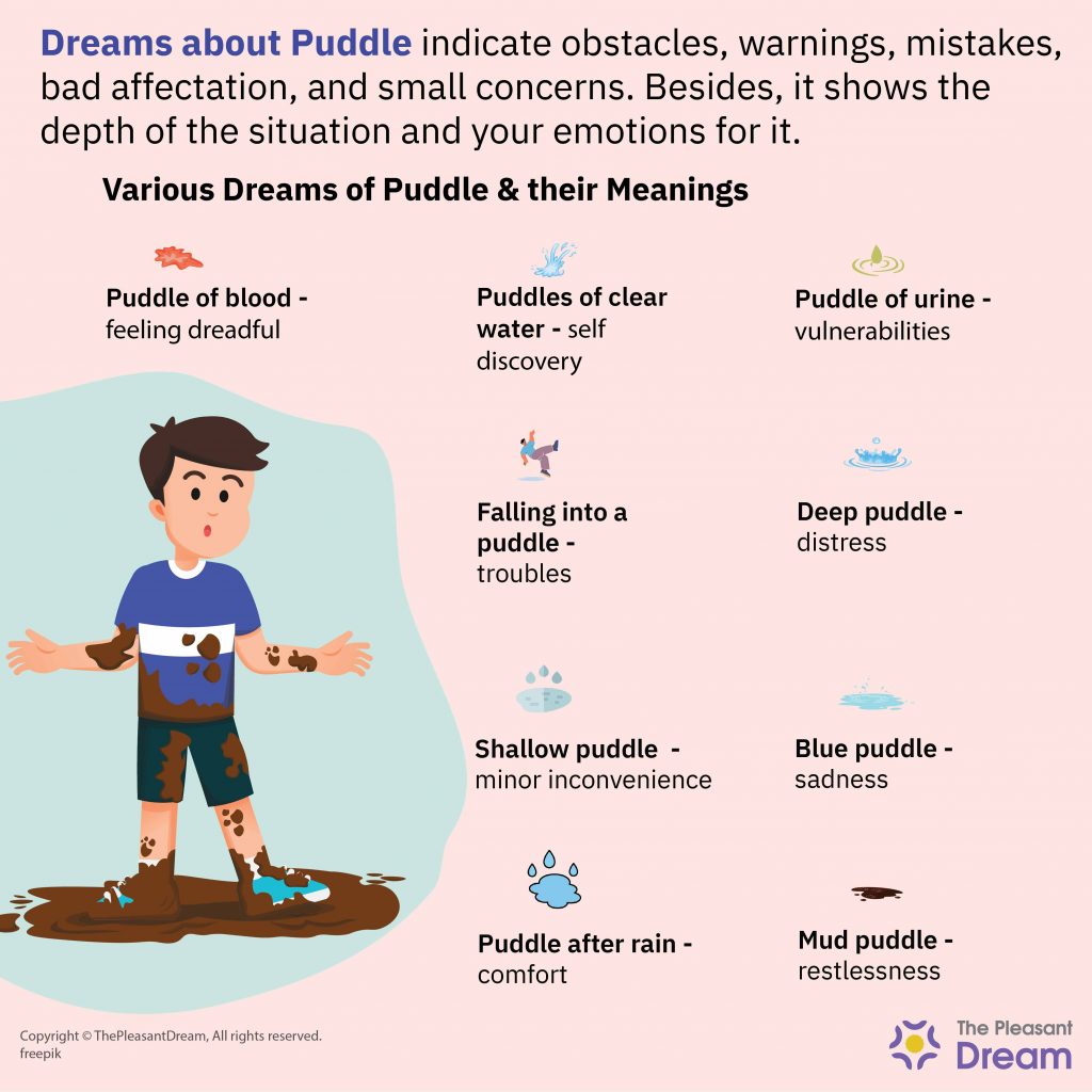 Puddle Dream Meaning - Various Scenarios and Interpretations