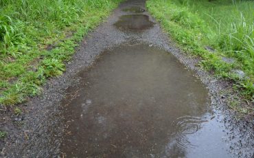 Puddle Dream Meaning – Does It Indicates Forthcoming Challenges?