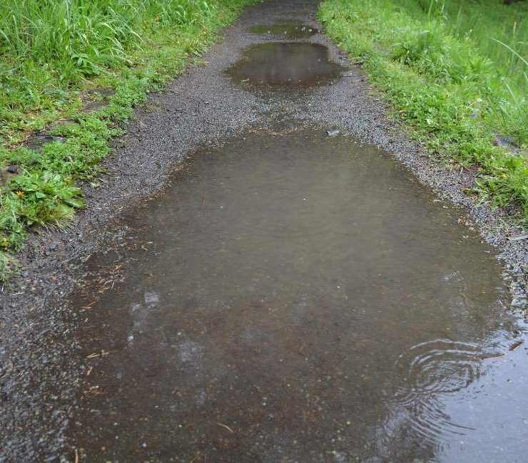 Puddle Dream Meaning - 60 Scenarios and Interpretations