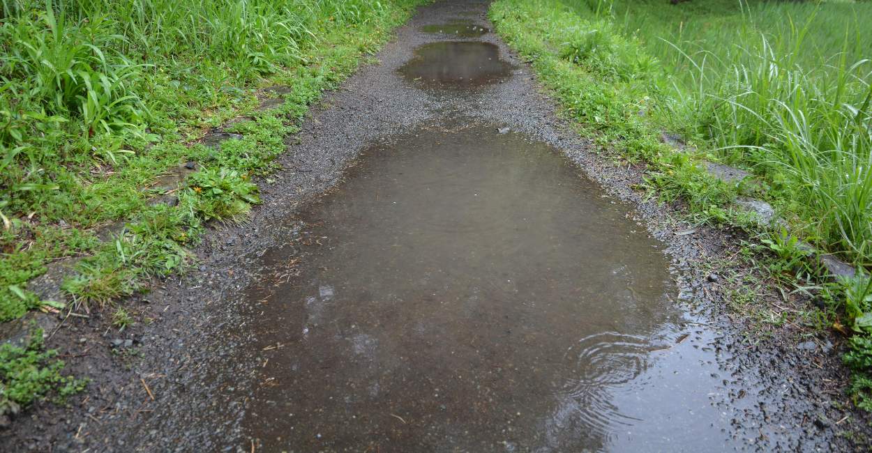 Puddle Dream Meaning – Does It Indicates Forthcoming Challenges?