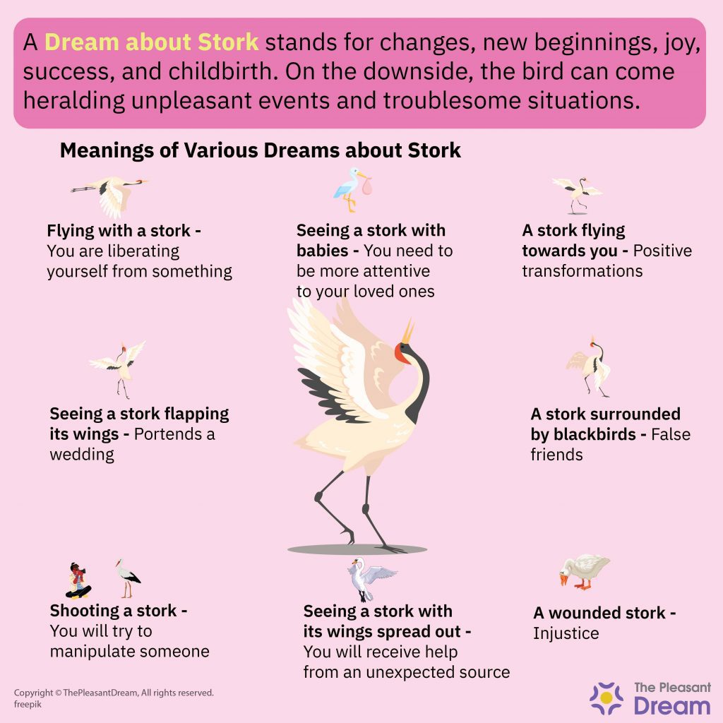 Stork Dream Meaning - Various Dream Types With Meanings