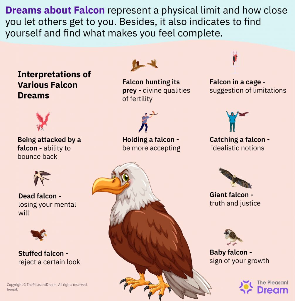 Bird of Prey Dream Meaning  Dream meanings, Dream dictionary, Spiritual  meaning of dreams