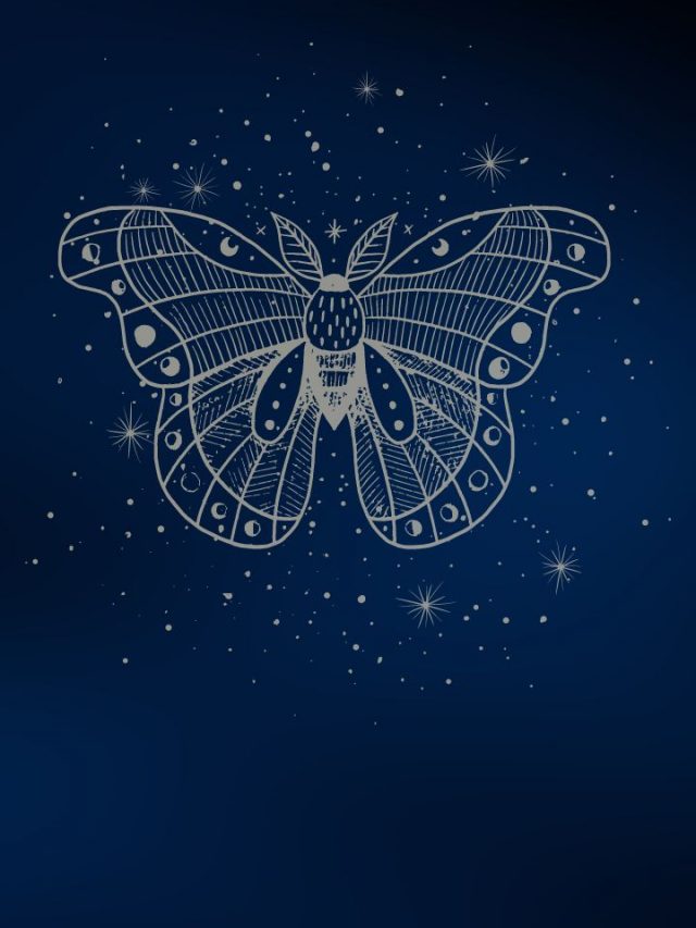 What It Means To Dream about Butterfly