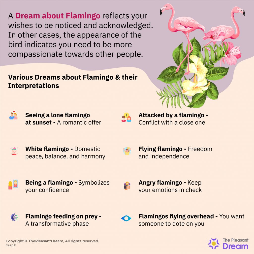 Flamingo Dream Meaning  - Various Scenarios And Their Meanings