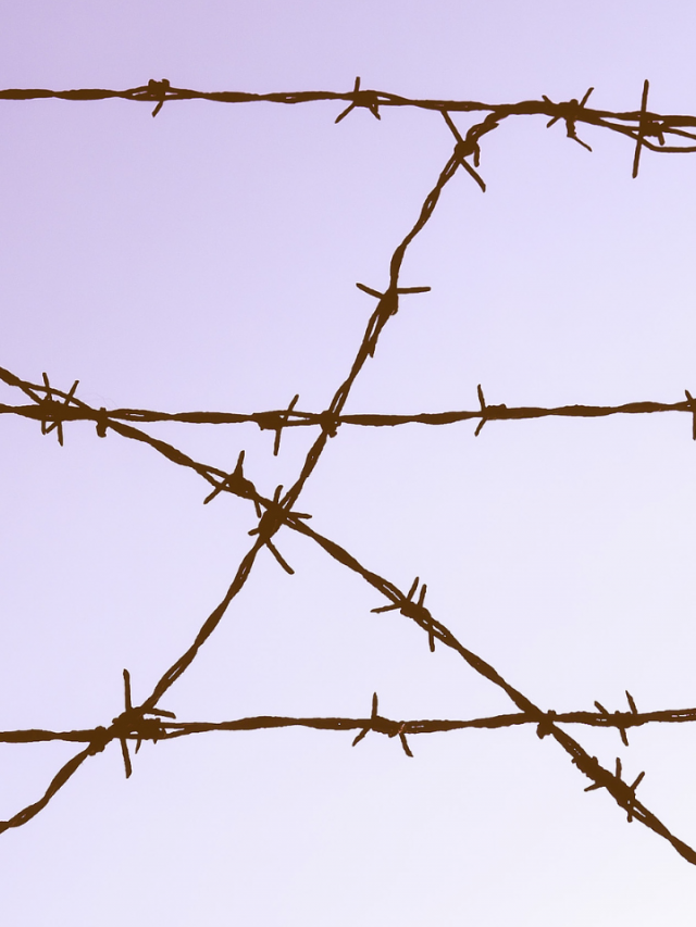What Does A Dream of Barbed Wire Mean