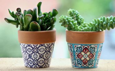 Dream of Plants in Pots – Does It Mean to Develop Your Skills More?