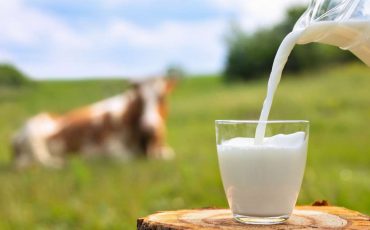 Spiritual Meaning of Milk in a Dream - Thinking of Nourishing Yourself