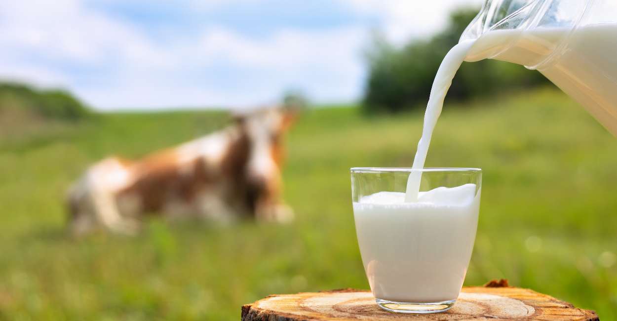 Spiritual Meaning of Milk in a Dream - Thinking of Nourishing Yourself