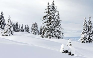 Spiritual Meaning of Snow in a Dream - Planning to visit a skiing resort