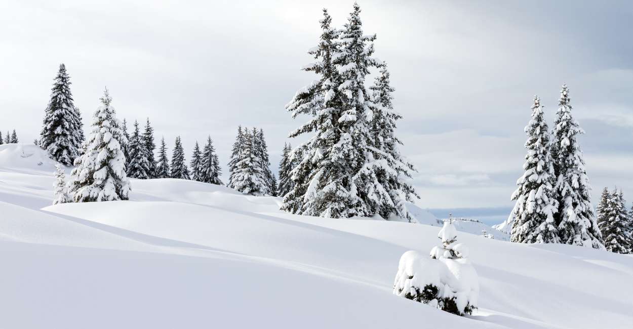 Spiritual Meaning of Snow in a Dream - Planning to visit a skiing resort