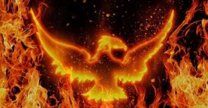 Dream of Phoenix – Are You Ready to Change the Course of Your Life