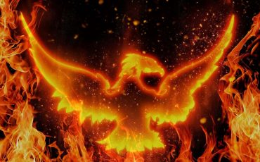 Dream of Phoenix – Are You Ready to Change the Course of Your Life