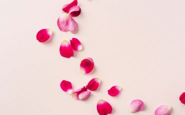 Dream of Rose Petals – Expect Varying Stages of Life!