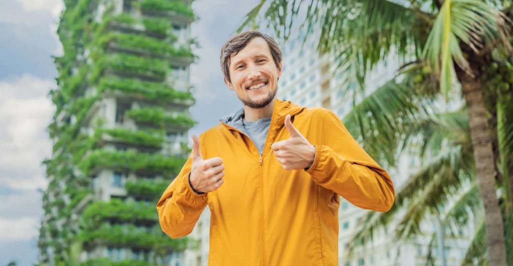 Yellow Jacket Dream Meaning Is The Wasp Buzzing Through Your Mind